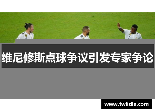 维尼修斯点球争议引发专家争论